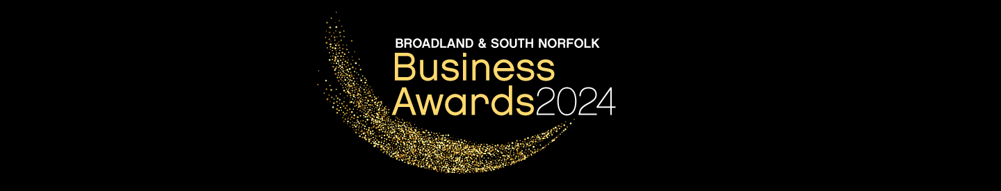 Broadland and South Norfolk Business Awards 2024 logo