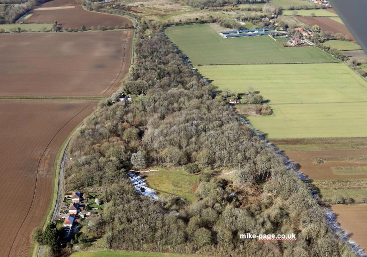 Buckenham Wood in Strumpshaw