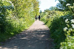 Photo of bridle path, with green surrounding and two people walking with their backs to the camera