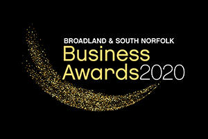 Broadland and South Norfolk Business Awards 2020 logo