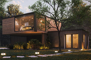 Modern wood cladded house
