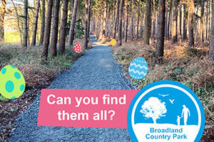 Easter eggs at broadland country park can you find them all?