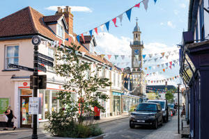 Harleston market town