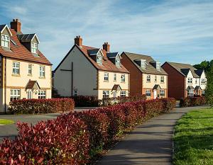 Detached houses on an estate