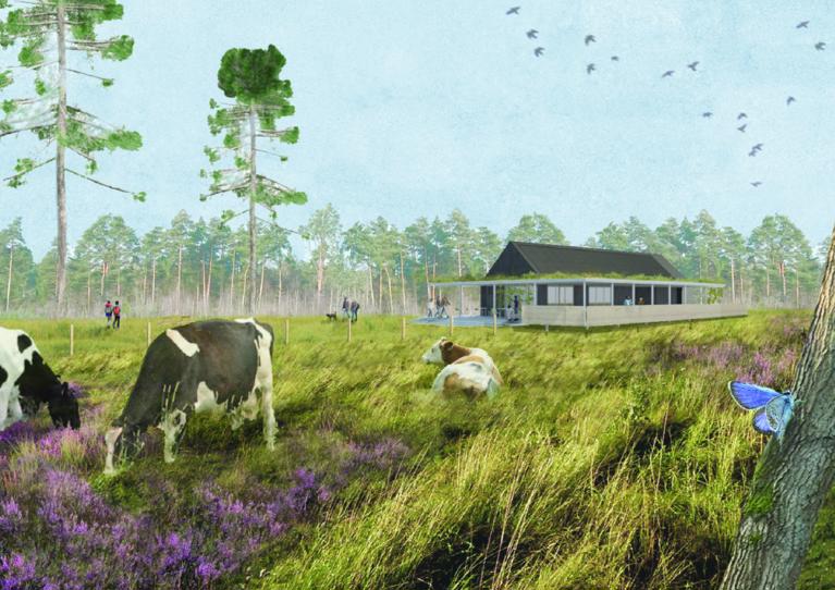 Painting of a cows and a visitor centre at Broadland Country Park