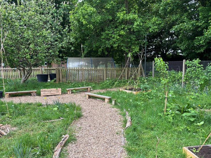 Rackheath Primary School's nature-rich outdoor space showing a gravel path and flower beds