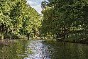 Photo of river, with trees running along the bank each side