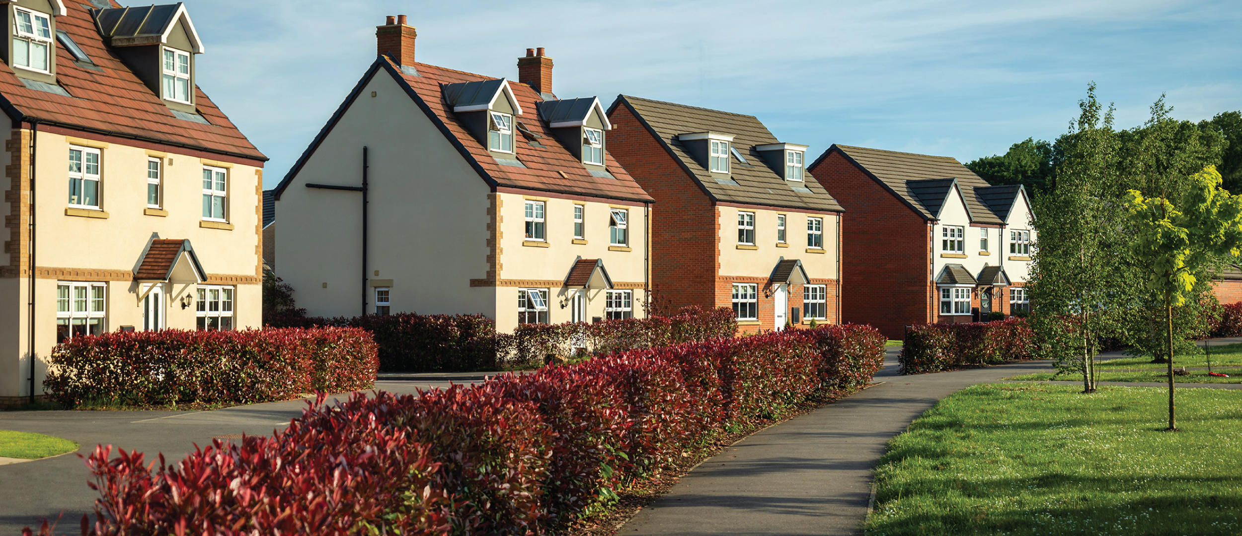 Row of houses with a path and trees in front