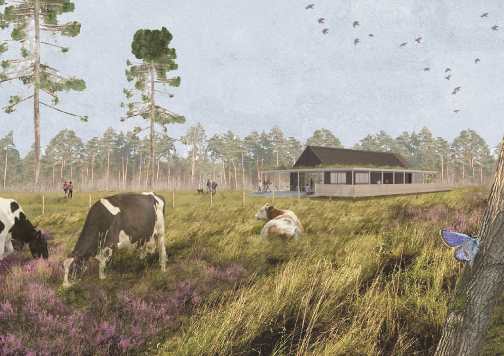 Painting of a cows and a visitor centre at Broadland Country Park