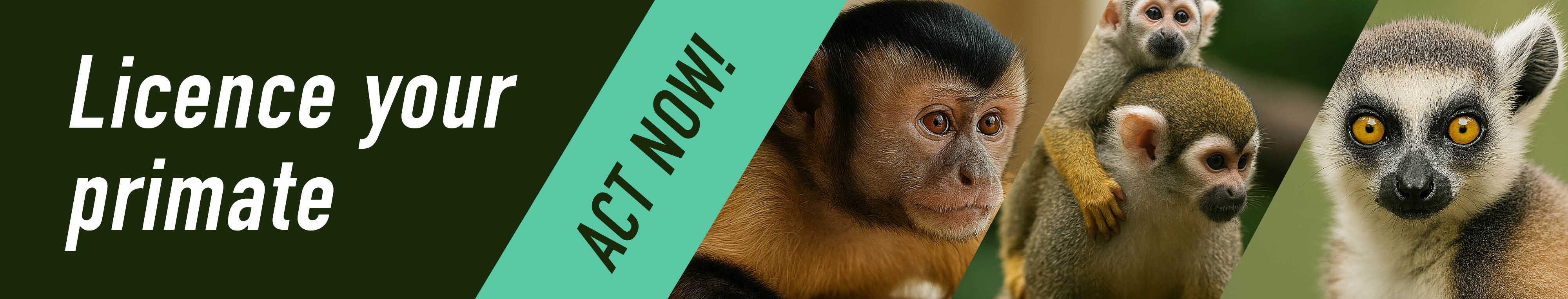 Licence your primate Act now