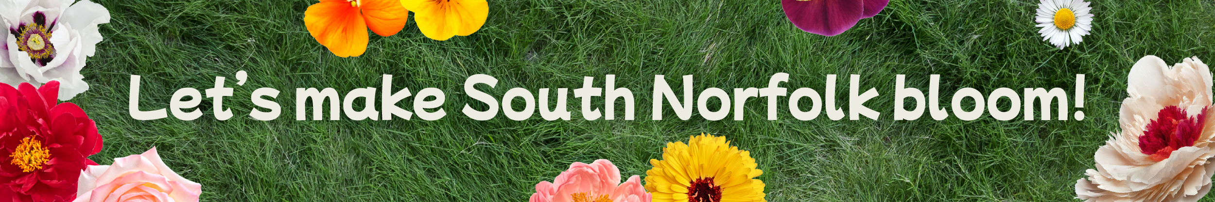 Let's make South Norfolk Bloom