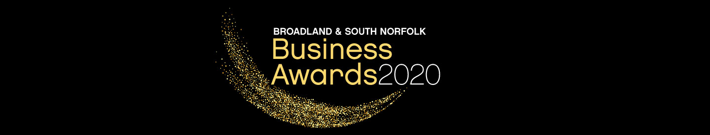 Broadland and South Norfolk Business Awards 2020 logo