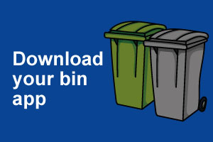 Bin app home page graphic