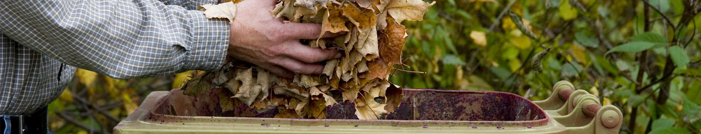 close up of a mans hands putting leaves into a brown garden waste bin