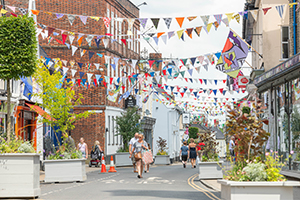 Harleston high street with bunting and trees in planters