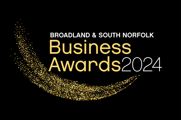 Broadland and South Norfolk Business Awards 2024 logo