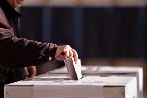 Person voting at the polling booth